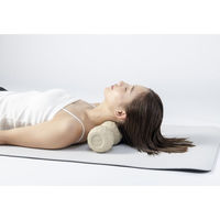 リッチェル キカケア バックローラー 110104 1個（直送品）