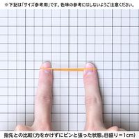 【アウトレット】【Goエシカル】訳あり 共和 ゴムバンド 500g袋　色ムラ 混色品 #16 GGー015EC 1袋