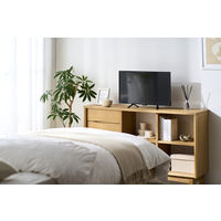 アイリスオーヤマ チューナーレステレビ 24V型 LTL-24WG-F1 1台