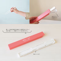 合同会社ビランク 箸箱セット FIG 18cm 箸&ケース レッド 479840 1個（直送品）