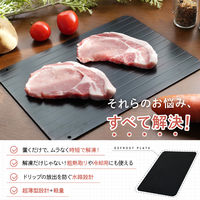 解凍プレート 厚手S（厚み0.3cm）ブラック R0450-S-A 1枚 急速解凍 急速冷凍 粗熱取り ライズクリエイション