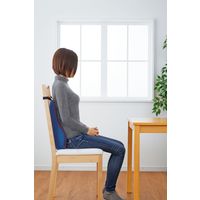 丸藤 たすカル　腰クッション 4935437102705 1セット(2個)（直送品）