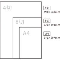 ゴークラ 文集用表紙 うんりゅう A4 210×297mm 136g/平方m 730 みかん A4BH-730 1セット(1袋(50枚入)×5)