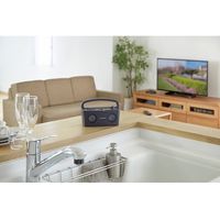 【ギフト包装】廣瀬無線電機　デジタルワイヤレススピーカーシステム　210252090　1個（直送品）