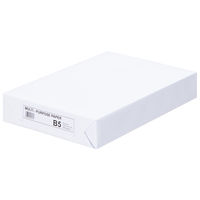 エイピーピー・ジャパン マルチパーパスペーパー コピー用紙 B5（1箱5冊） IKH904