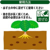 渡辺泰 乳酸発酵　イチゴの肥料　粒状５０ｇ入り×１２袋 WTLP-200287 1セット（12袋入）（直送品）