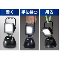 朝日電器 防水ポータブルライト DOP-BL01 1個