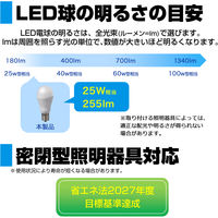 朝日電器 LED電球 ミニクリプトン形 LDA2D-G-E17-G4101 1個