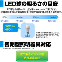 朝日電器 LED電球 ミニクリプトン形 LDA4D-G-E17-G4103-2P 1セット(2個入)