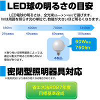 朝日電器 LED電球 ボール形G95 LDG7D-G-G2103 1個