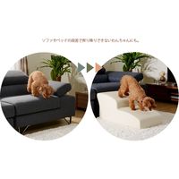 セルタン ドックステップ 2段RE A385-596/602RE 1台（直送品）