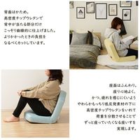 セルタン インテリア 座椅子 テクノイエロー A897-649YE 1台（直送品）