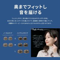 LIVIL audio 完全ワイヤレスイヤホン 完全独立型 Bluetooth イヤフォン LIV120 Qualcomm マットブラック（直送品）