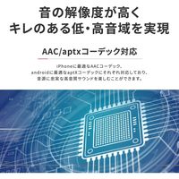 LIVIL audio 完全ワイヤレスイヤホン 完全独立型 Bluetooth イヤフォン LIV110 Qualcomm スペースブラック（直送品）