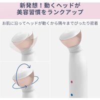 Areti（アレティ） 美顔器 電池式 3色LED ハンディ ホワイト（直送品）