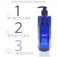 Areti（アレティ） ヒートガード シャンプー 熱 ダメージケア 保湿 補修（直送品）