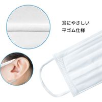 エスパック 子供用まっ白なやさしいマスク 30枚入 (個包装) KW30-AS 1袋(30枚入)