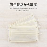 MSソリューションズ 不織布マスク アイボリー ふつうサイズ(個包装) 50枚入/箱 PL-FM03IV50E 2箱