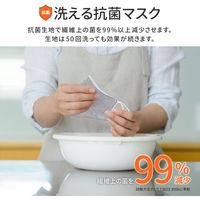 MSソリューションズ 洗える抗菌マスク 布マスク ふつう~大きめサイズ ブラック PL-FMW01BK1N 5枚（直送品）