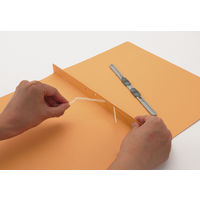 ライオン事務器 フラットファイルA4S A-516Kピンク 1冊