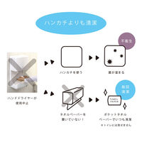 エヒメ紙工 ポケットペーパータオル 使い捨て手拭き用 10枚入×10個パック PPT-10P 1セット(100枚入)