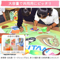 サクラクレパス ニューサクラカラー クイックペイント 12色セット 550ml アクリル絵の具 ETQW12