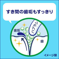クリアクリーン キッズ メロンソーダ 70g 花王 歯磨き粉（子供用） 虫歯予防