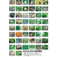 スーパーオータカ　720ml　大高酵素　酵素ドリンク