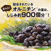 肝臓エキスオルニチン約30日分（120粒入り）【小林製薬の栄養補助食品】 1個 サプリメント 父の日