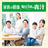 伊藤園 毎日1杯の青汁 糖類不使用 5.6g×20包 粉末 1セット（2箱）