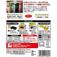 S&B 噂の名店 欧風ビーフカレー 1セット（3食入）エスビー食品 レンジ対応 レトルト