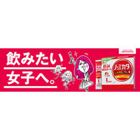 飲み速攻ガード ノ・ミカタ プラム風味 お徳用 1箱（30本入） 顆粒スティック 味の素