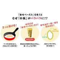 味の素 CookDo（クックドゥ） 香味ペースト （汎用ペースト調味料） 222g 1セット（2本入）