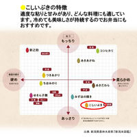 新潟県産 こしいぶき 10kg 【精白米】 令和7年産 お米 白米