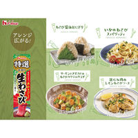 ハウス食品 特選本香り 生わさび 42g 5個