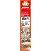 エスビー食品 本生和からし 43g 2本