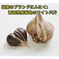 ファイン　極みの発酵黒にんにく黒酢 120粒　1個　サプリメント