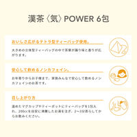 薬日本堂（ニホンドウ） 漢茶 気 KR0 1袋（6包入） お茶