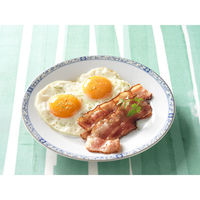 S&B 袋入りマジックソルト オリジナル 20g 10個エスビー食品