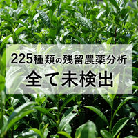 ファイン 発酵黒ウーロン茶エキス顆粒 33包 1セット(2箱)