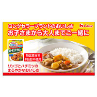 ハウス食品 特定原材料8品目不使用 バーモントカレー 中辛 1セット（3個）カレールー　アレルゲン　カット