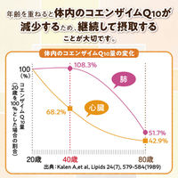マルチビタミン ミネラル コエンザイムQ10  約30日分(120粒入り)【小林製薬の栄養補助食品】　1袋　サプリメント