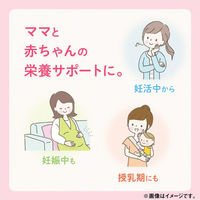 葉酸鉄カルシウム約30日分（90粒入り） 1セット（2袋） 【小林製薬の栄養補助食品】 サプリメント