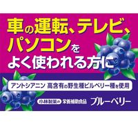 小林製薬の栄養補助食品　ブルーベリー　約30日分　30粒　サプリメント