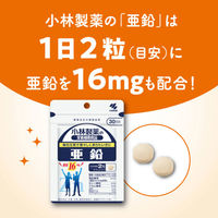 亜鉛 約60日分(120粒入り) 1袋 【小林製薬の栄養補助食品】 サプリメント