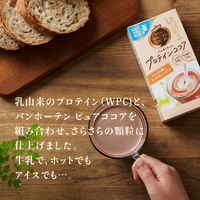 片岡物産 バンホーテン バンホーテンのプロテイン ココア 1箱（5本入）