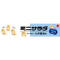 三幸製菓 ミニサラダ 九州醤油味　2枚×11袋入 3個　せんべい　あられ 個包装 お配り