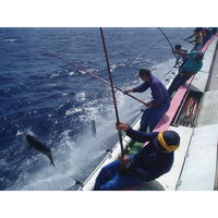 ヤマキ　新鮮一番　かつおパック2.5g×8P 1セット（2個）