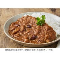 カゴメ 3種豆のベジタブルカレー 10袋