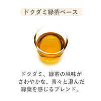 薬日本堂 美麗茶 1袋